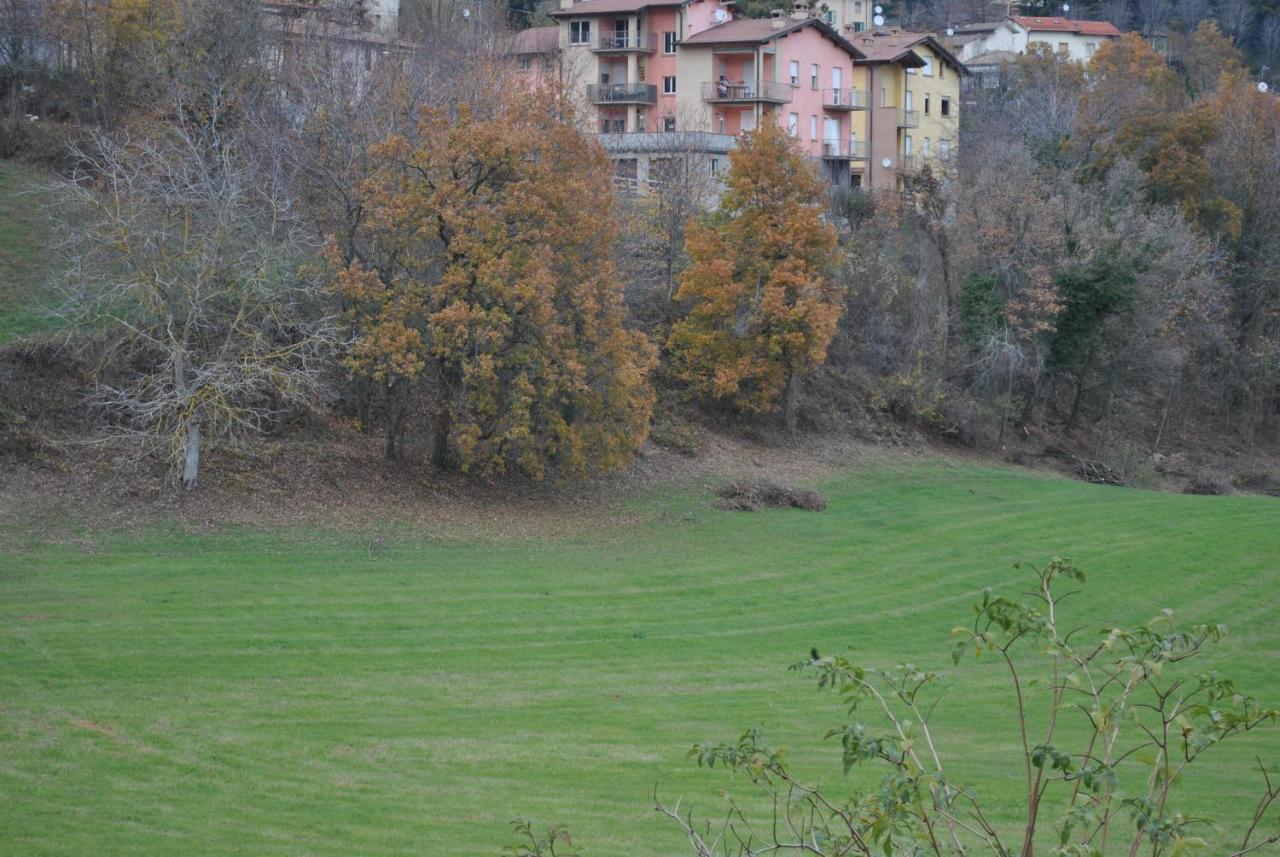 Petrarosa